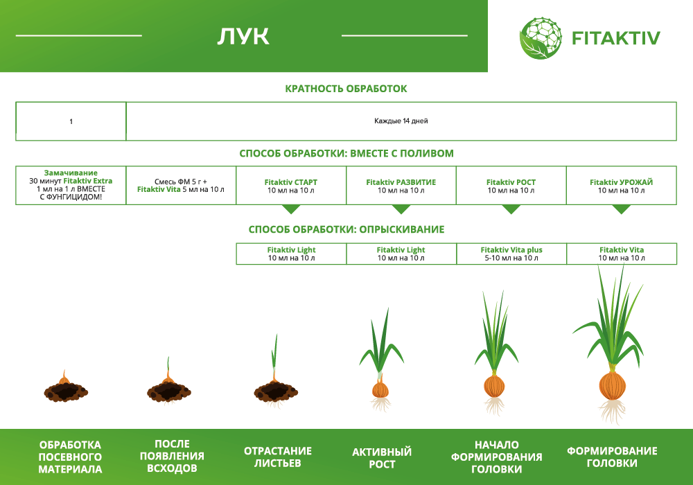 Схема лук.png