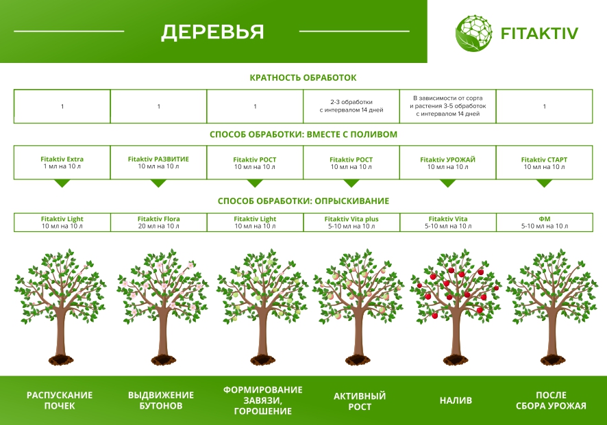 Плодовые деревья.jpg