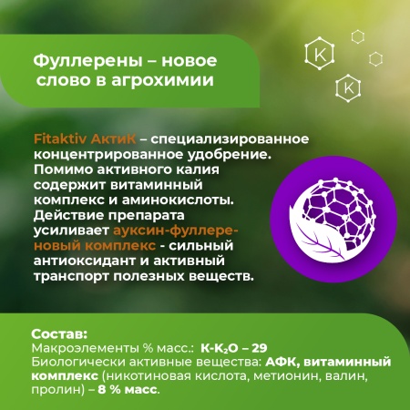 Фитактив АктиК (флакон 1 л)