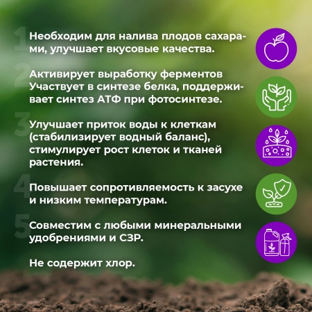 Фитактив АктиК (флакон 1 л)