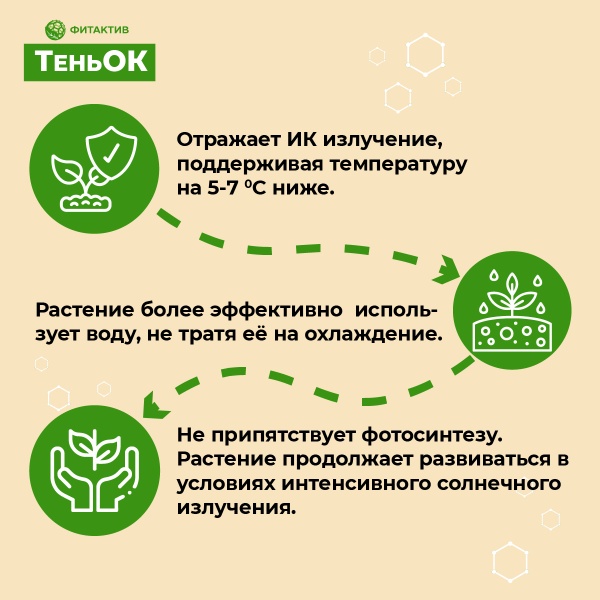 ТеньОК для плодово-ягодных и овощных культур, 1 л (Фитактив ТеньОк)