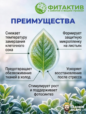 ФИТОКРИОН, криопротектор. 1л. тм. ФИТАКТИВ